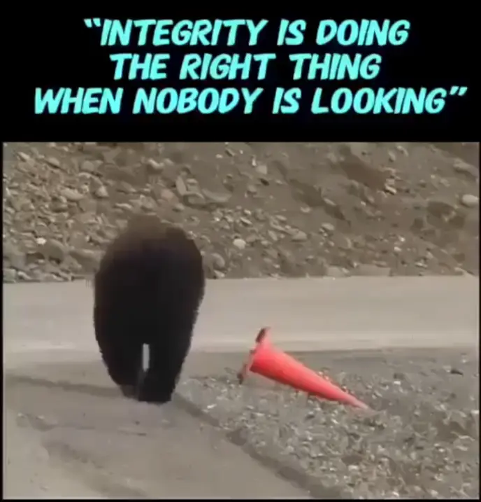 Integrity